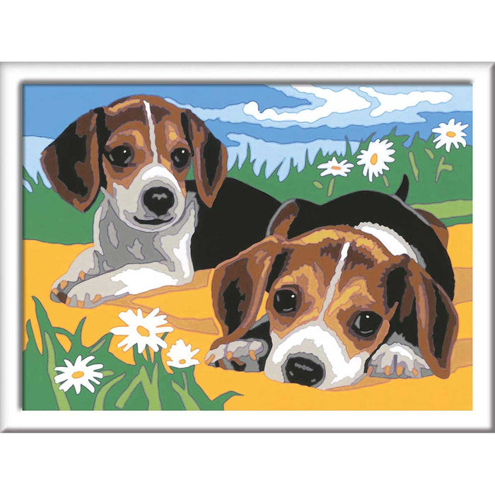 RAVENSBURGER Creart Cuccioli Jack Russell - 28939