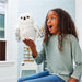 SPIN MASTER Harry Potter Hedwig Edvige Civetta Peluche Interattiva - 6061829